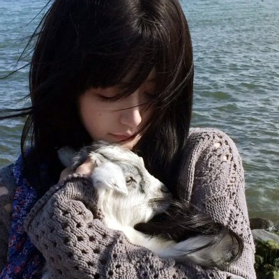 新古惑仔之少年激斗篇